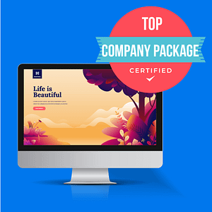 Top Company Website Logo SEO Package for contractors